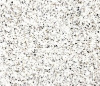 /album/granitos1/granito-branco-polar-jpg/